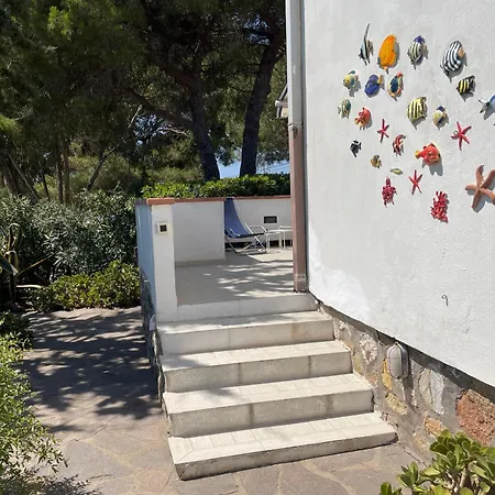 Apartment Il Polpetto